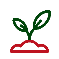 zrownowazony rozwoj swetry swiąteczne 2024