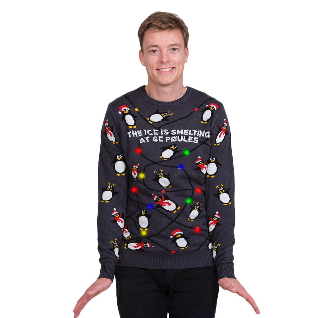 Rodzinny Sweter Świąteczny z Lampkami LED z Pingwinami meskie